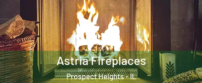  Astria Fireplaces Prospect Heights - IL