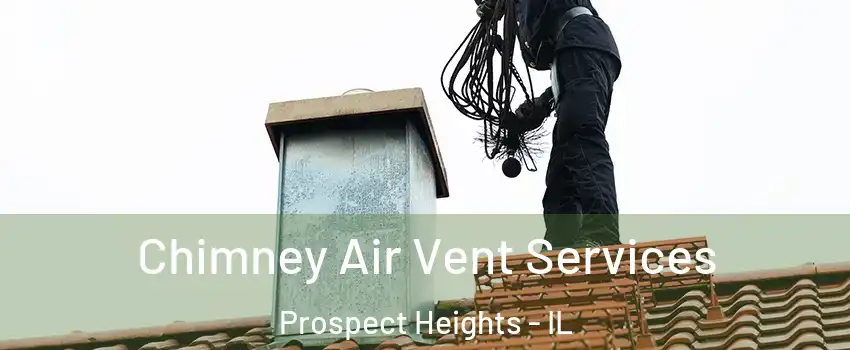 Chimney Air Vent Services Prospect Heights - IL