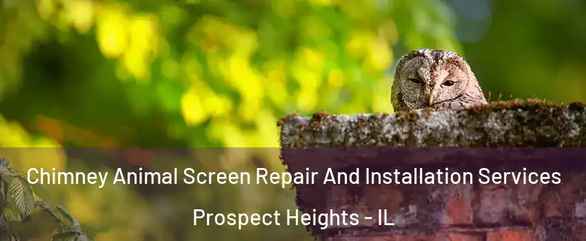  Chimney Animal Screen Repair And Installation Services Prospect Heights - IL