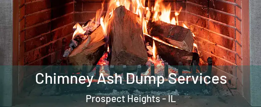  Chimney Ash Dump Services Prospect Heights - IL