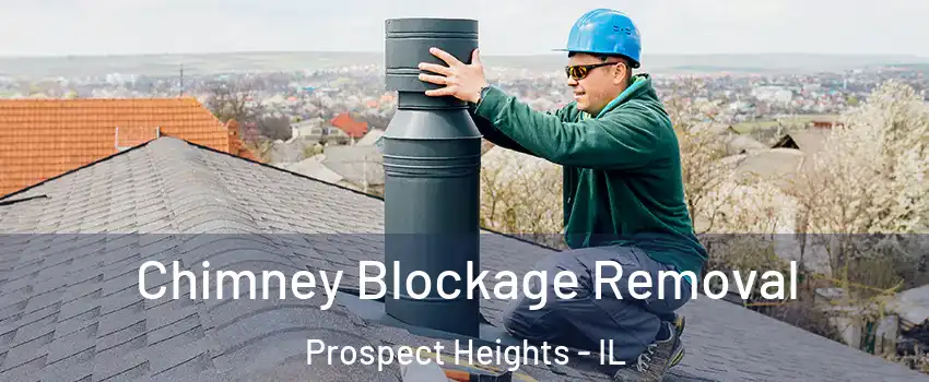  Chimney Blockage Removal Prospect Heights - IL