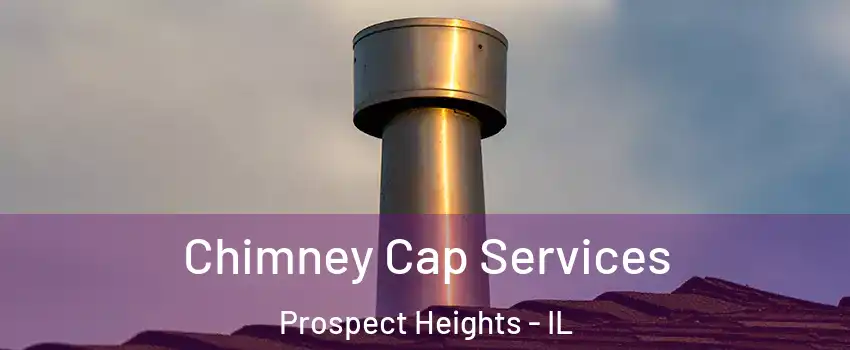  Chimney Cap Services Prospect Heights - IL
