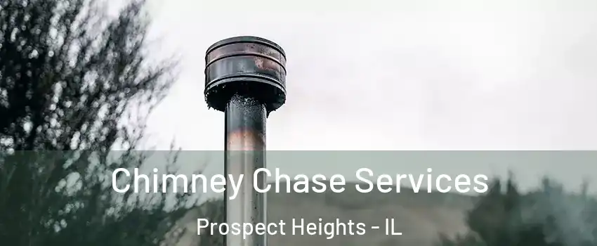 Chimney Chase Services Prospect Heights - IL