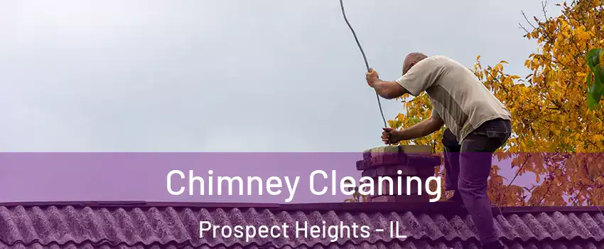  Chimney Cleaning Prospect Heights - IL