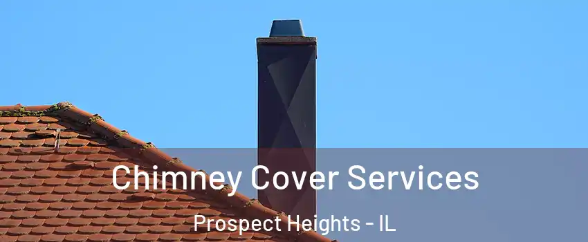  Chimney Cover Services Prospect Heights - IL