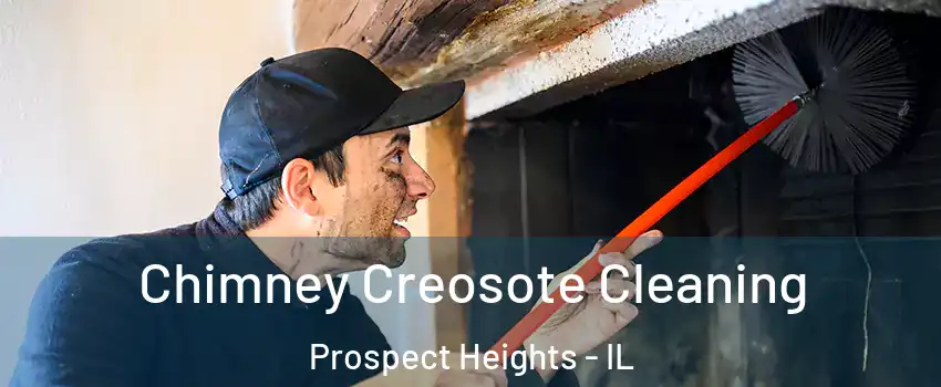  Chimney Creosote Cleaning Prospect Heights - IL