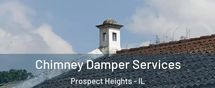 Chimney Damper Services Prospect Heights - IL