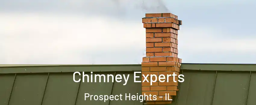 Chimney Experts Prospect Heights - IL
