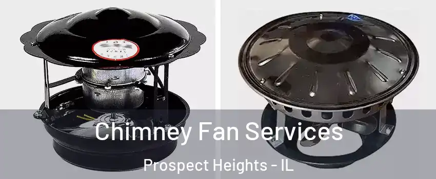 Chimney Fan Services Prospect Heights - IL