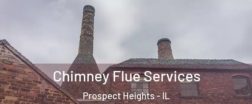  Chimney Flue Services Prospect Heights - IL