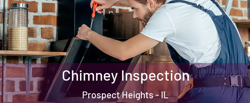  Chimney Inspection Prospect Heights - IL