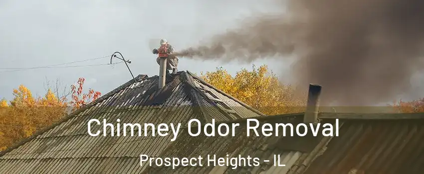 Chimney Odor Removal Prospect Heights - IL