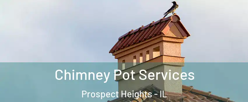 Chimney Pot Services Prospect Heights - IL