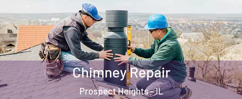  Chimney Repair Prospect Heights - IL