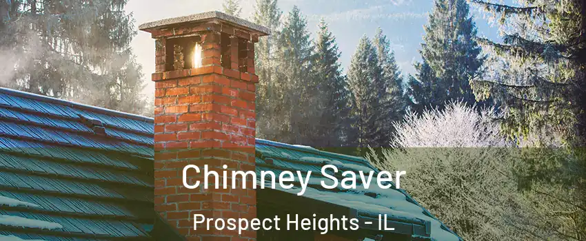  Chimney Saver Prospect Heights - IL