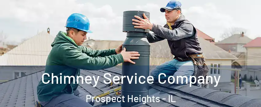 Chimney Service Company Prospect Heights - IL