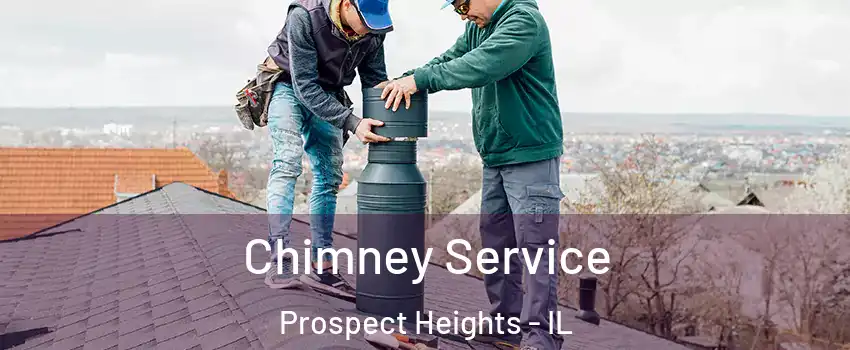  Chimney Service Prospect Heights - IL