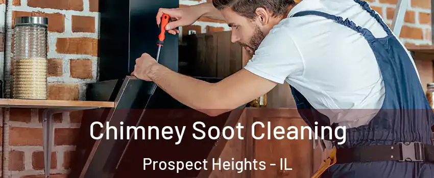  Chimney Soot Cleaning Prospect Heights - IL