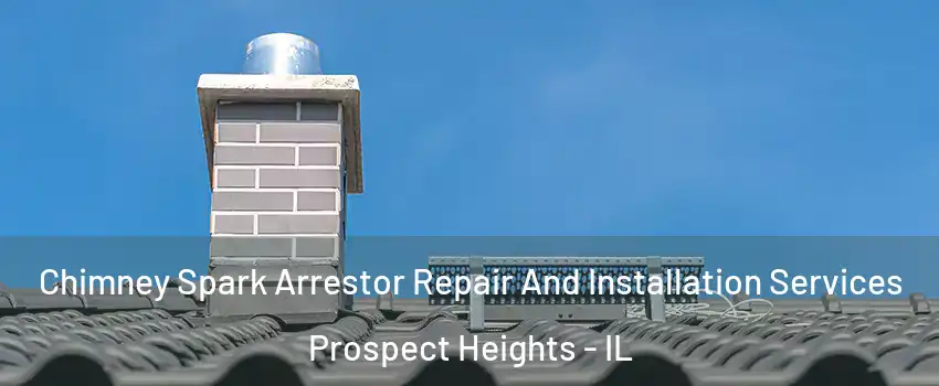  Chimney Spark Arrestor Repair And Installation Services Prospect Heights - IL