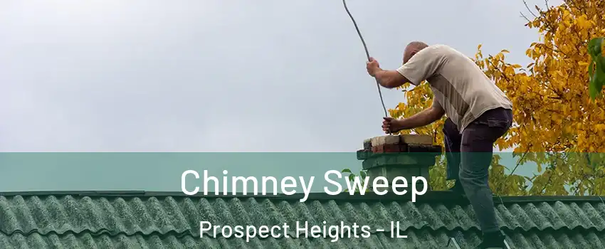  Chimney Sweep Prospect Heights - IL