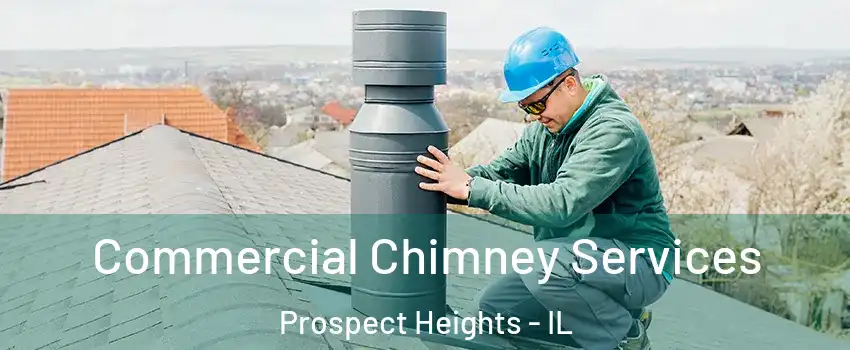  Commercial Chimney Services Prospect Heights - IL