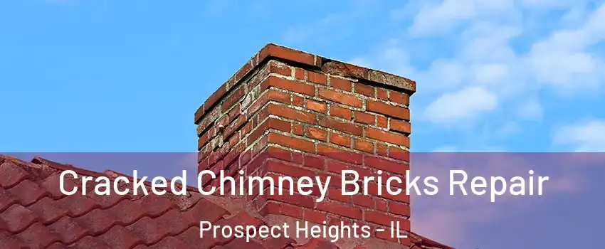  Cracked Chimney Bricks Repair Prospect Heights - IL