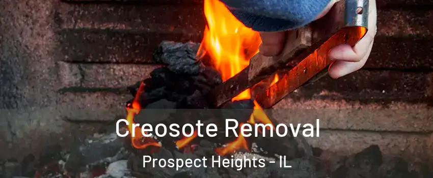  Creosote Removal Prospect Heights - IL
