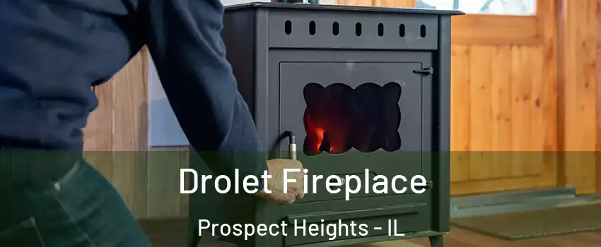  Drolet Fireplace Prospect Heights - IL
