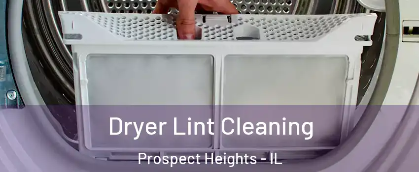  Dryer Lint Cleaning Prospect Heights - IL