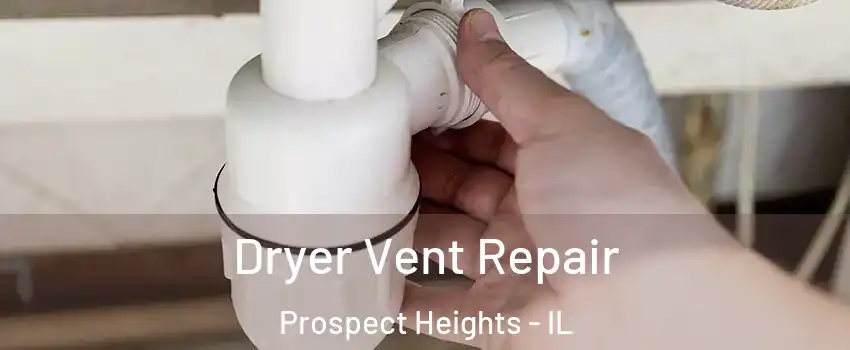  Dryer Vent Repair Prospect Heights - IL