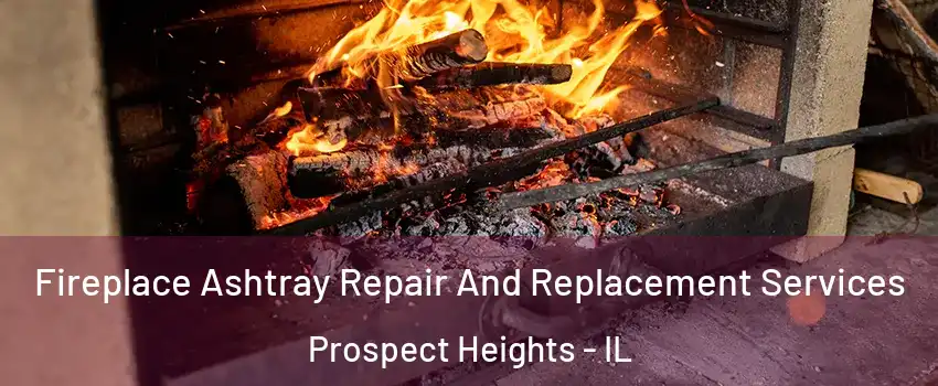  Fireplace Ashtray Repair And Replacement Services Prospect Heights - IL