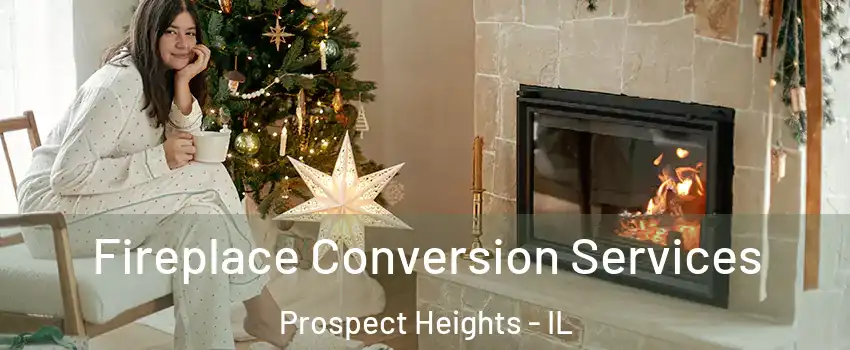 Fireplace Conversion Services Prospect Heights - IL