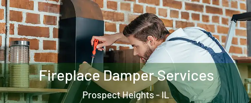 Fireplace Damper Services Prospect Heights - IL
