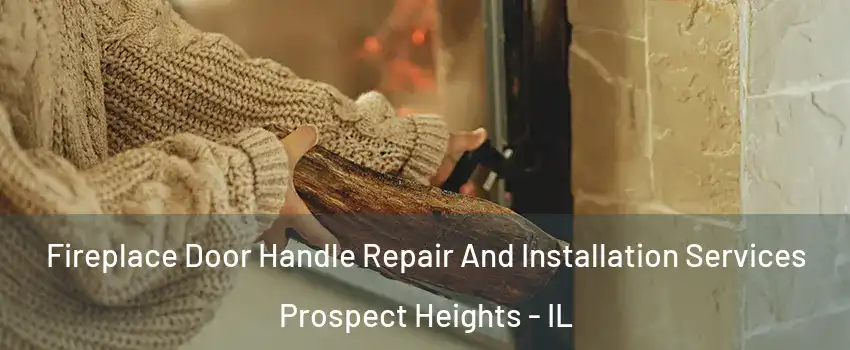  Fireplace Door Handle Repair And Installation Services Prospect Heights - IL
