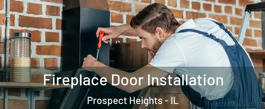 Fireplace Door Installation Prospect Heights - IL