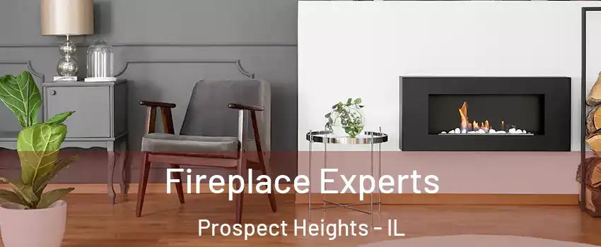  Fireplace Experts Prospect Heights - IL
