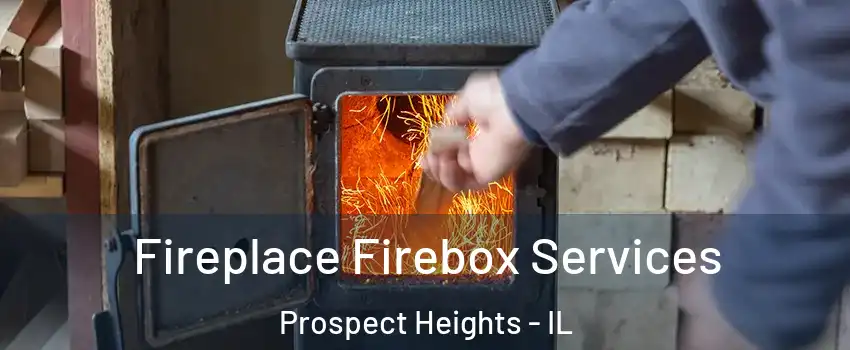 Fireplace Firebox Services Prospect Heights - IL