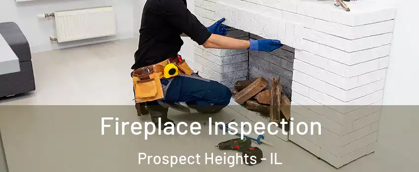  Fireplace Inspection Prospect Heights - IL