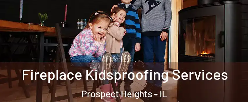  Fireplace Kidsproofing Services Prospect Heights - IL