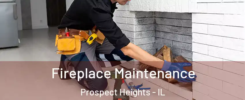  Fireplace Maintenance Prospect Heights - IL