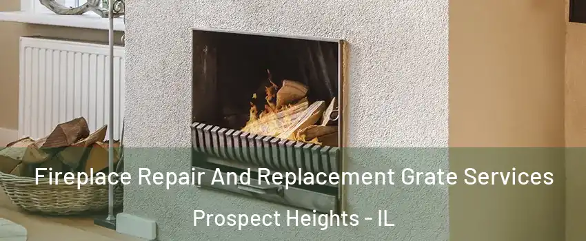  Fireplace Repair And Replacement Grate Services Prospect Heights - IL