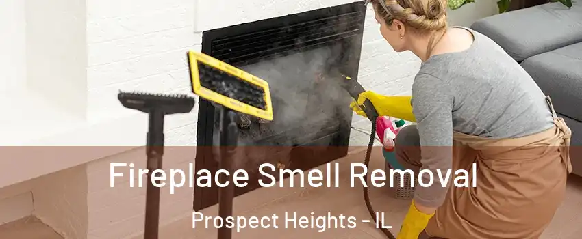  Fireplace Smell Removal Prospect Heights - IL