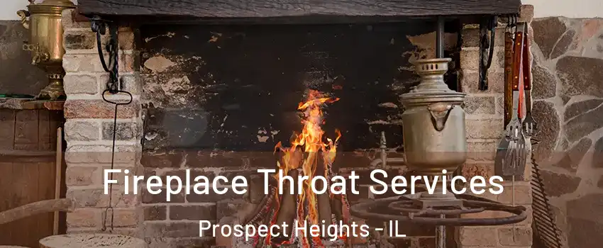  Fireplace Throat Services Prospect Heights - IL