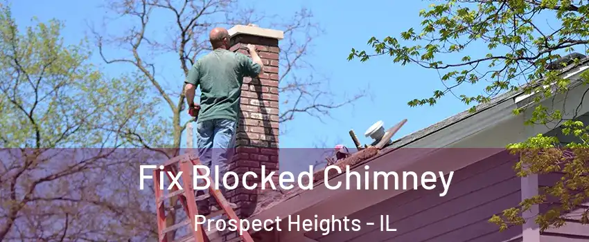  Fix Blocked Chimney Prospect Heights - IL