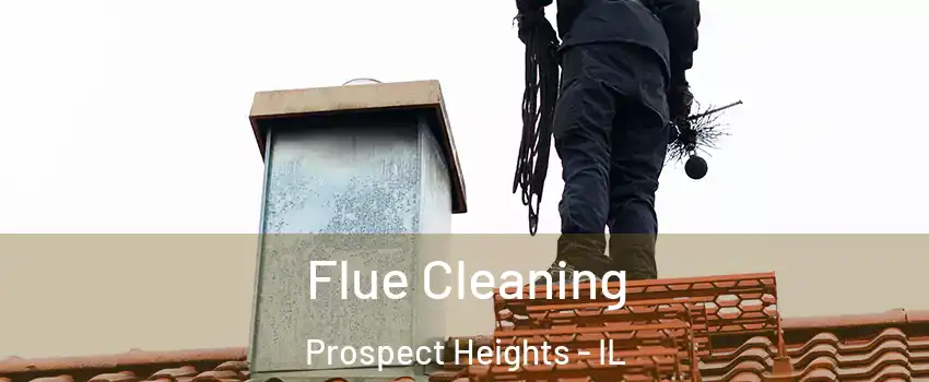  Flue Cleaning Prospect Heights - IL