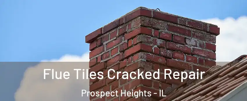 Flue Tiles Cracked Repair Prospect Heights - IL