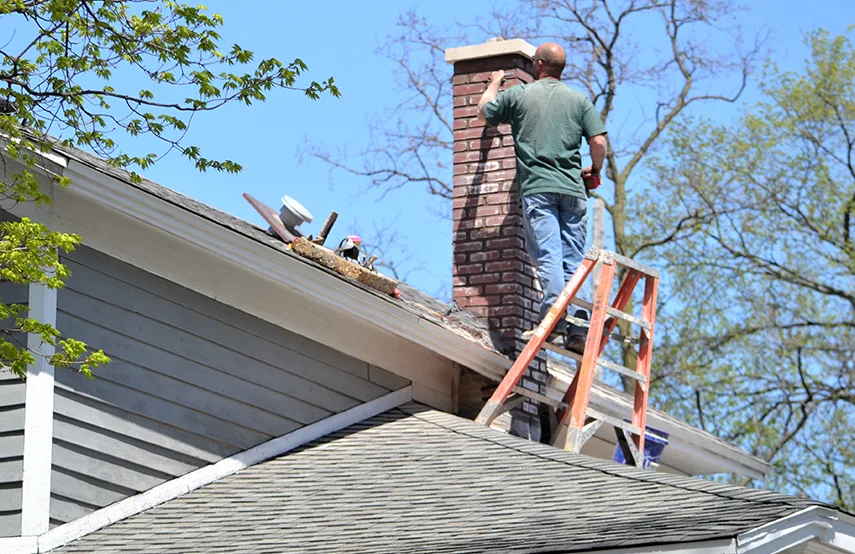 Chimney & Fireplace Inspections Services in Prospect Heights, IL