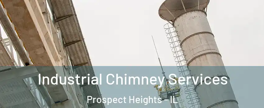  Industrial Chimney Services Prospect Heights - IL