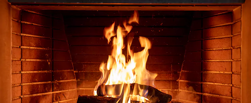 Soot Cleanup Services in Prospect Heights, IL