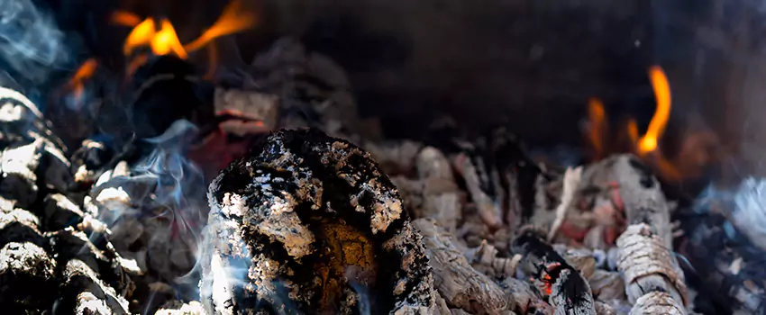 Creosote Removal Experts in Prospect Heights, IL